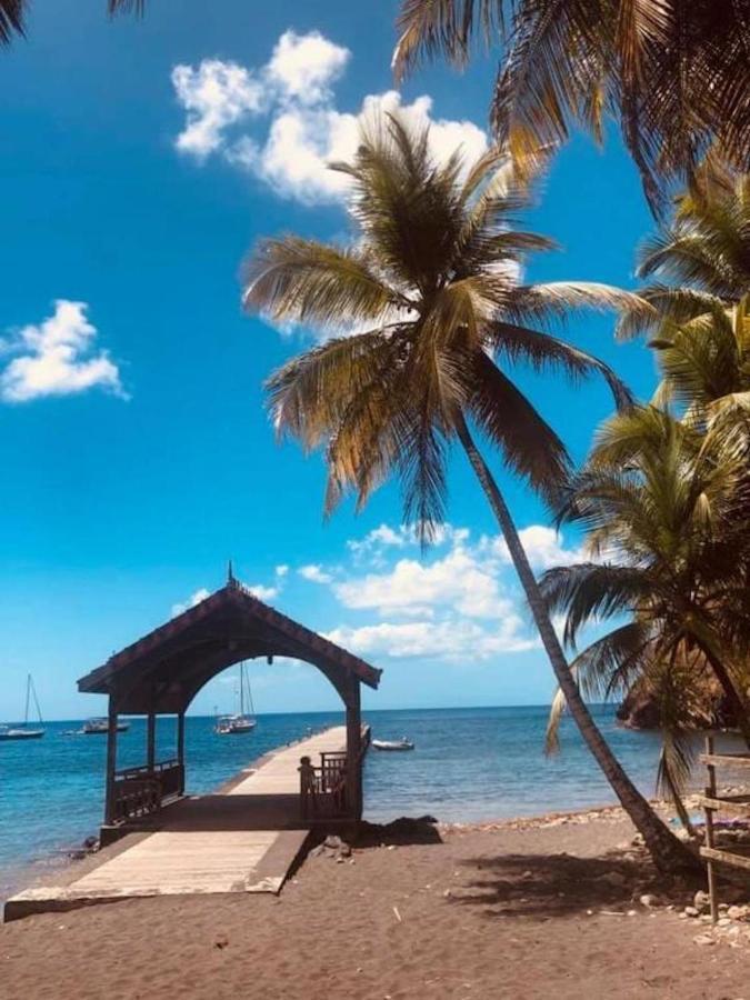 Studio Sainte Anne 2Mn A Pieds De La Plage ,Possibilite Location De Voiture Eksteriør bilde